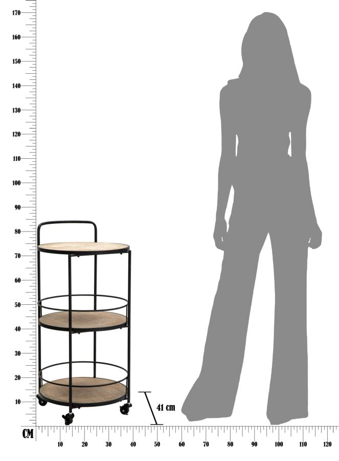 Carrito de metal negro – Arex estantería rodante