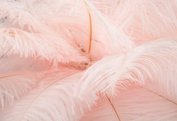 Lámpara de Sobremesa de Plumas Doradas y Rosas