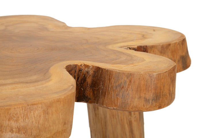 Mesa de centro redonda de teca – Bintang madera maciza