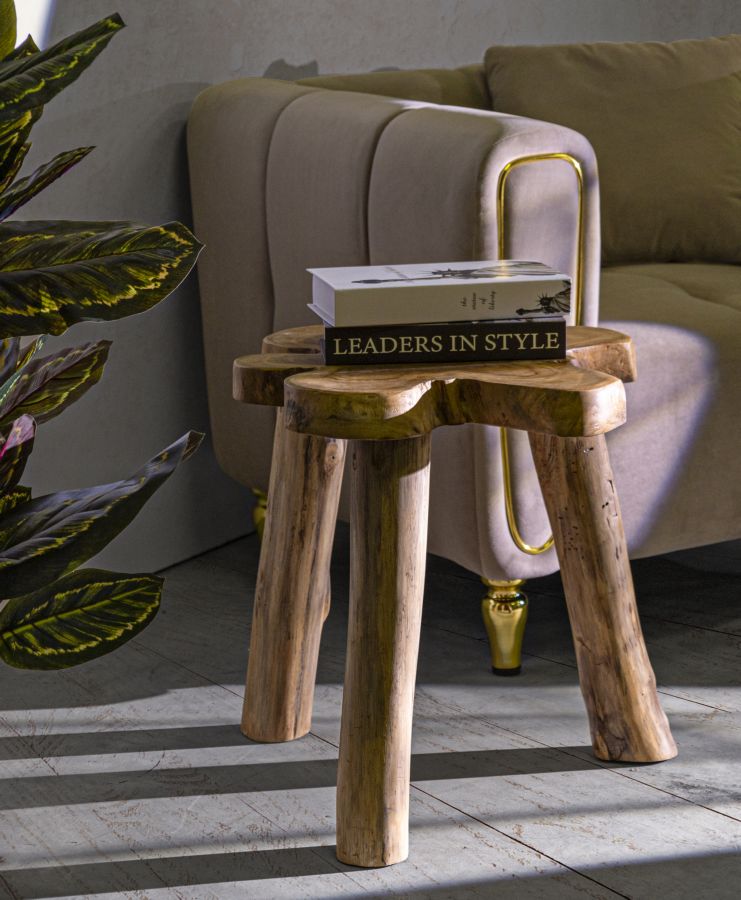 Mesa de centro redonda de teca – Bintang madera maciza