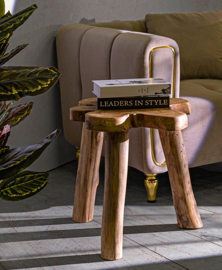 Mesa de centro redonda de teca – Bintang madera maciza