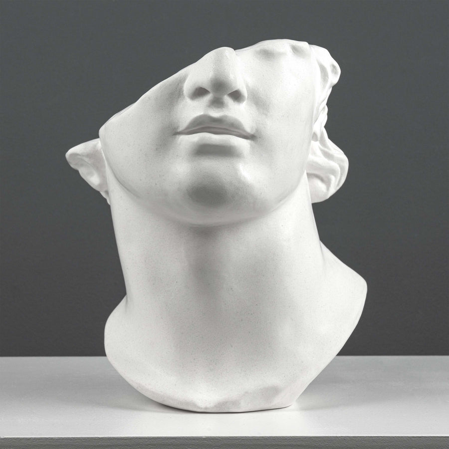 Escultura Fragmento del Busto de Apolo – Inspirada en la Cabeza Colosal de un Joven