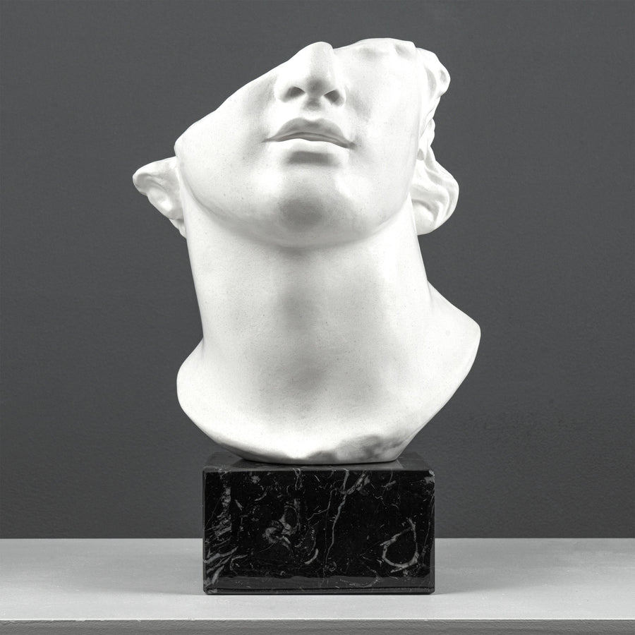Escultura Fragmento del Busto de Apolo sobre Base de Mármol Negro (Cabeza Colosal de un Joven)