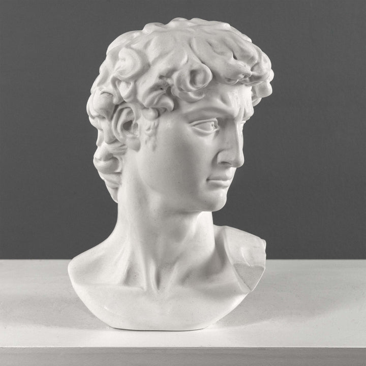 Busto de David de Miguel Ángel (Grande)