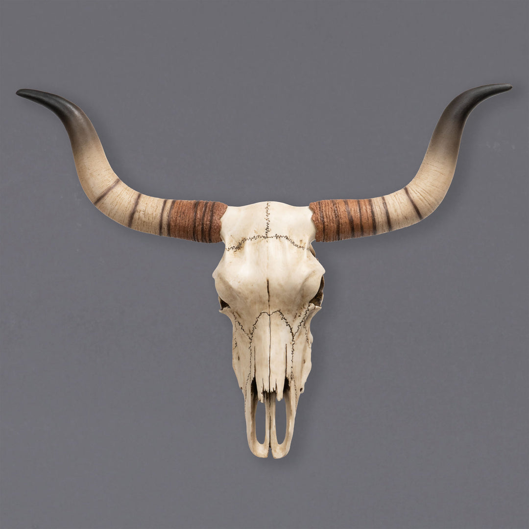 Escultura de pared de cráneo de ganado Longhorn (Estatua de resina)