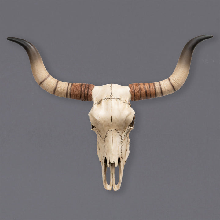 Escultura de pared de cráneo de ganado Longhorn (Estatua de resina)