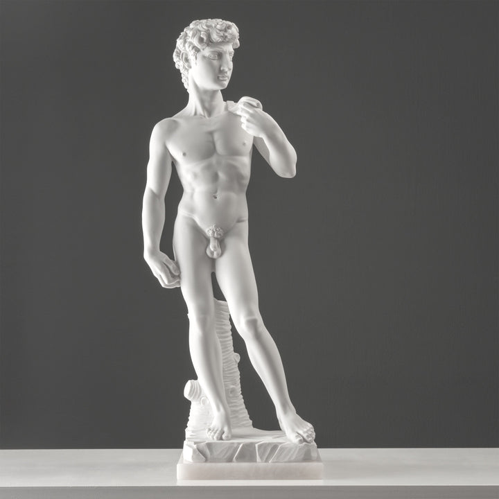 Estatua del David de Miguel Ángel (Grande)