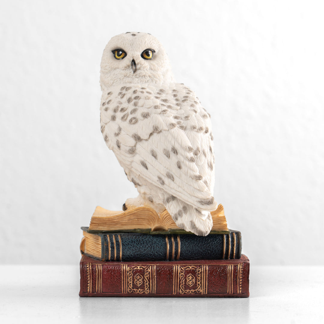 Estatua de búho nival sobre una pila de libros (Estatua de resina)