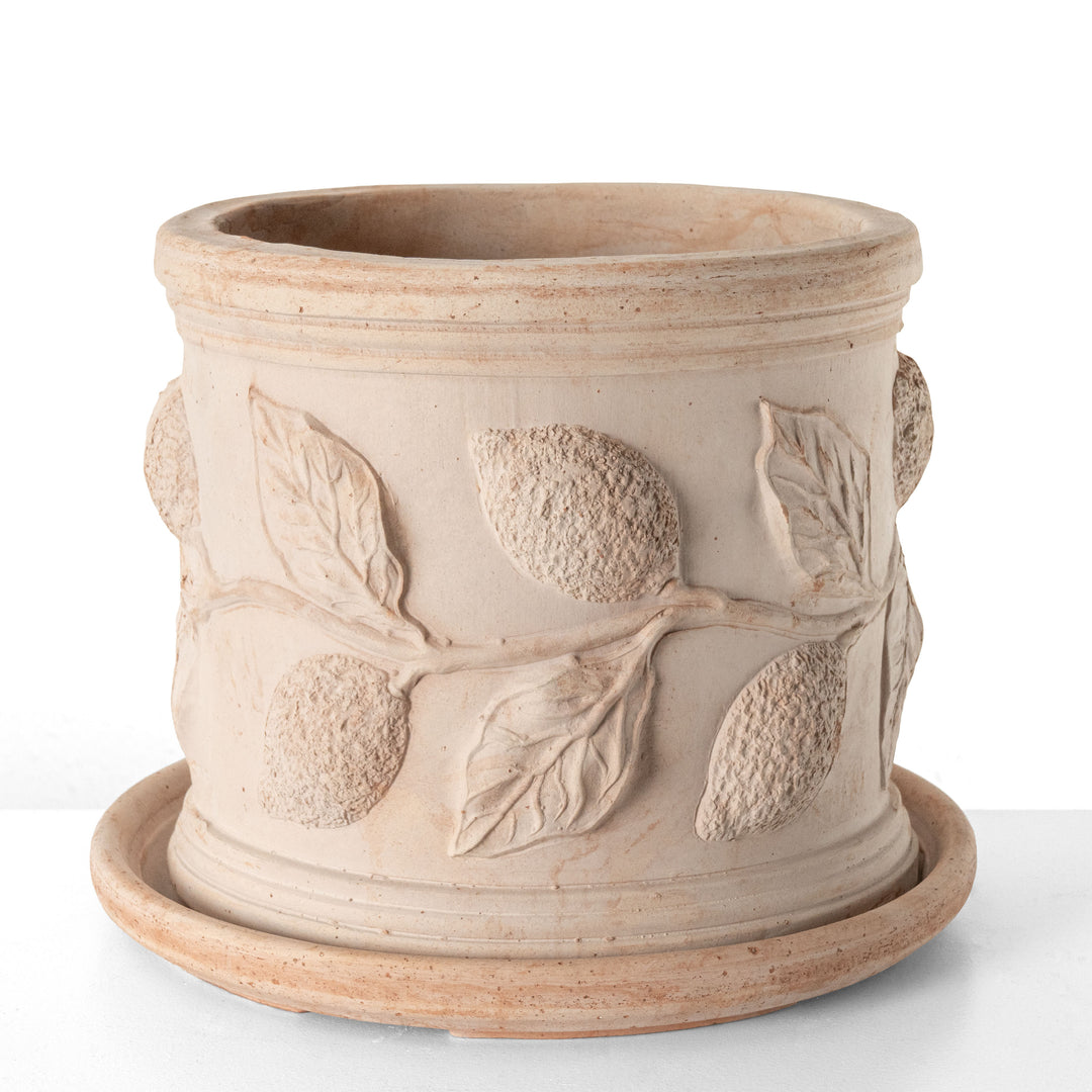 Macetero de terracota con relieve de limón (Cilíndrico)