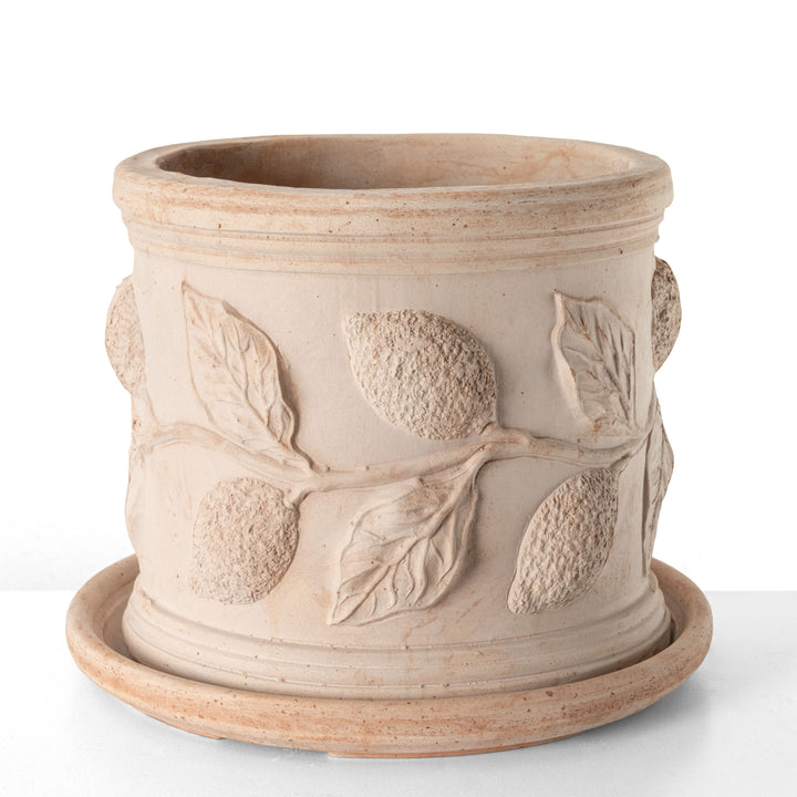 Macetero de terracota con relieve de limón (Cilíndrico)