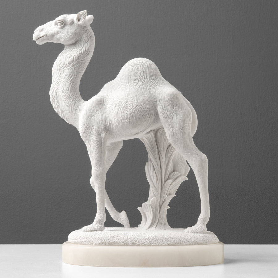 Estatua de Camello Árabe