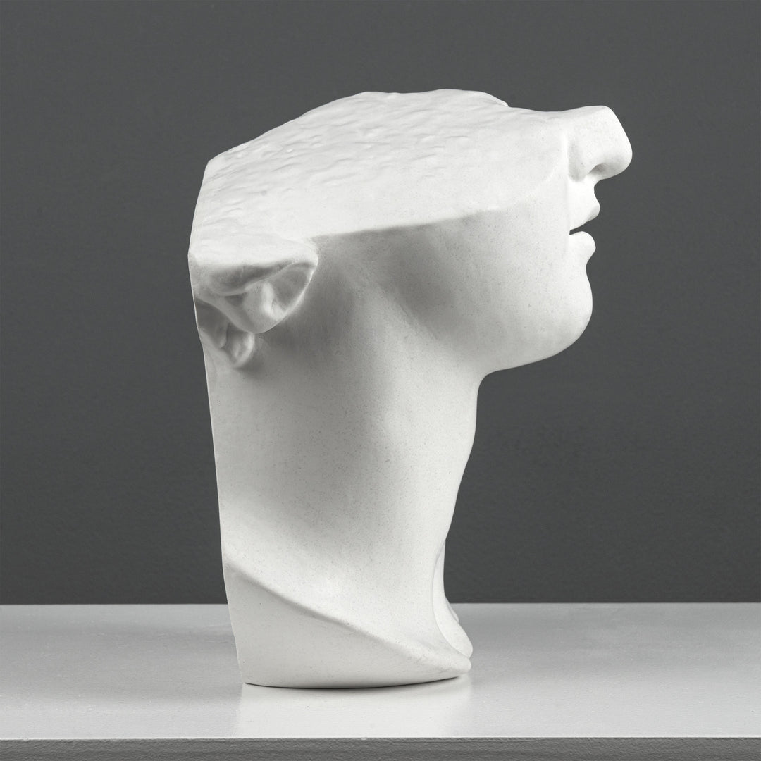 Escultura Fragmento del Busto de Apolo – Inspirada en la Cabeza Colosal de un Joven