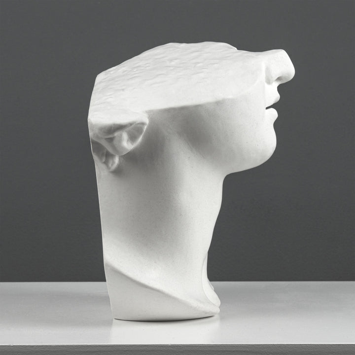 Escultura Fragmento del Busto de Apolo – Inspirada en la Cabeza Colosal de un Joven