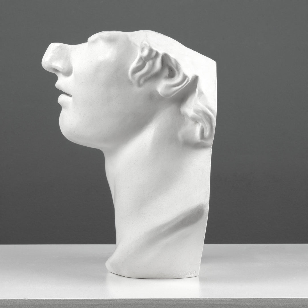 Escultura Fragmento del Busto de Apolo – Inspirada en la Cabeza Colosal de un Joven