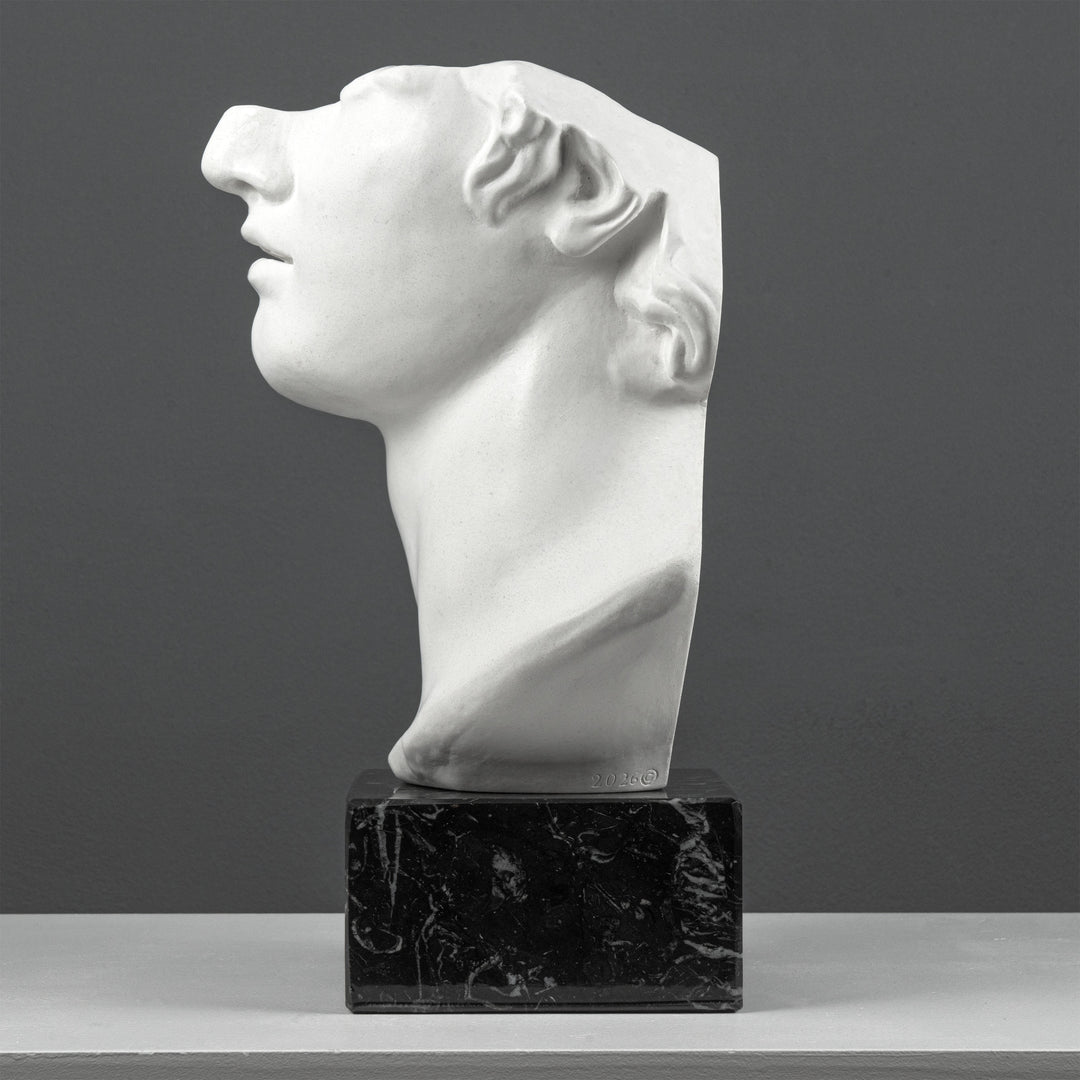 Escultura Fragmento del Busto de Apolo sobre Base de Mármol Negro (Cabeza Colosal de un Joven)