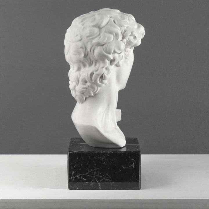 Busto de David de Miguel Ángel con base de mármol negro (Grande)