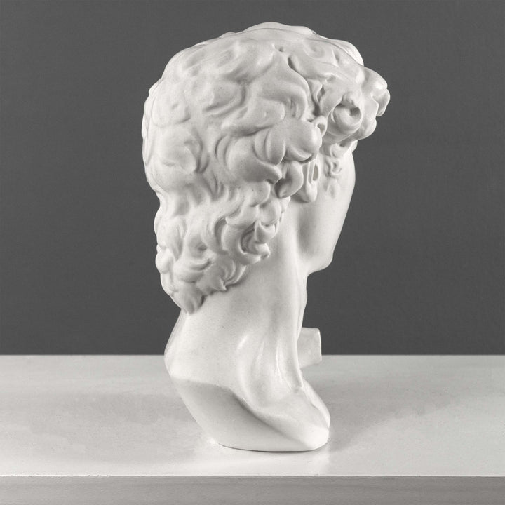 Busto de David de Miguel Ángel (Grande)