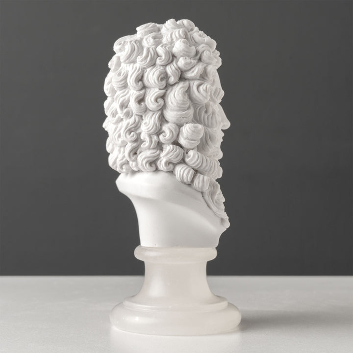 Busto de Isaac Newton — Padre de la física clásica