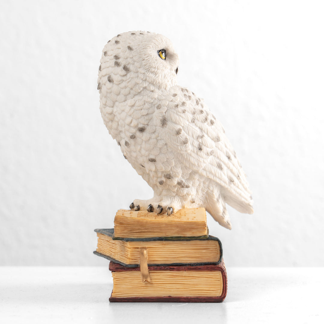Estatua de búho nival sobre una pila de libros (Estatua de resina)