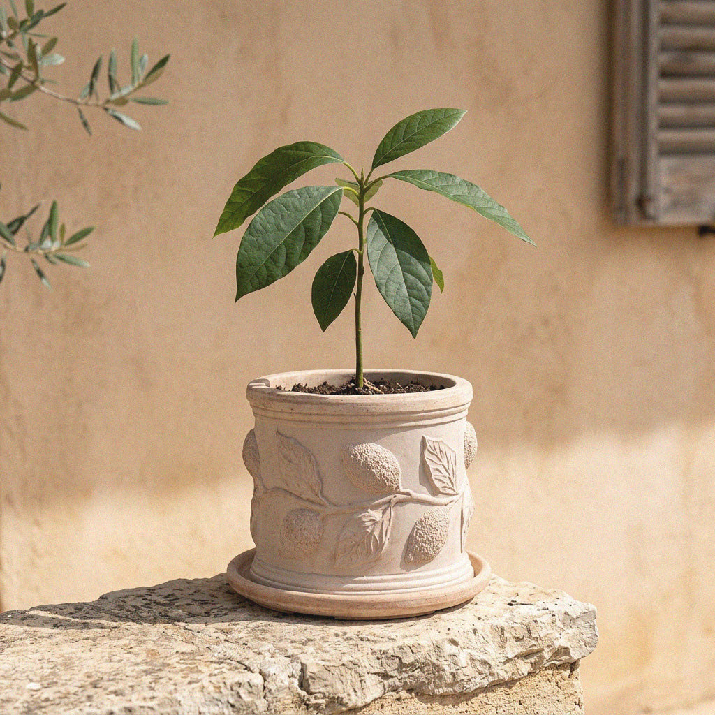 Macetero de terracota con relieve de limón (Cilíndrico)