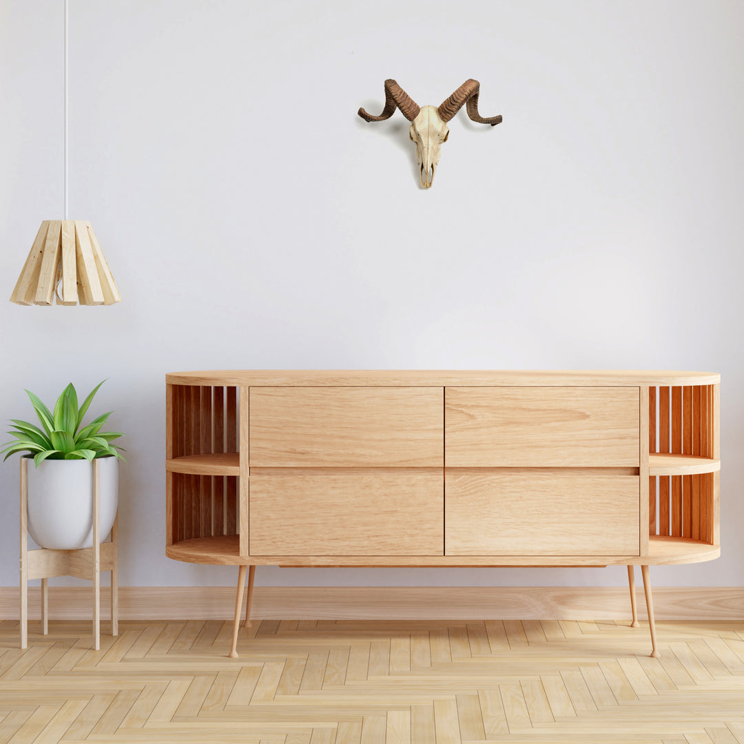 Craneo carnero escultura pared (Estatua resina muflon Corcega)