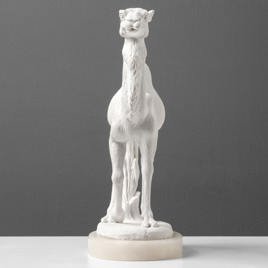 Estatua de Camello Árabe