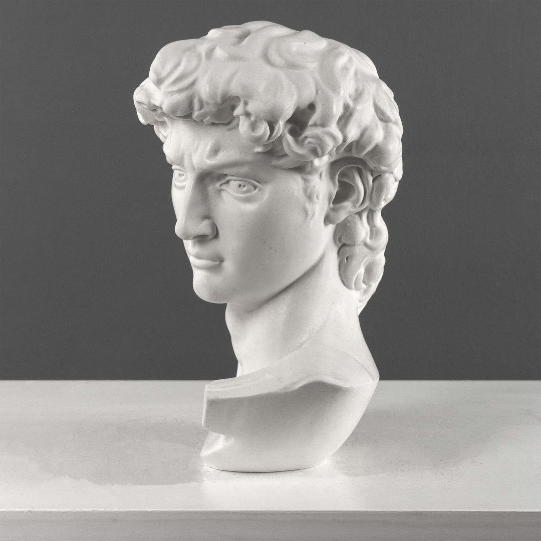 Busto de David de Miguel Ángel (Grande)