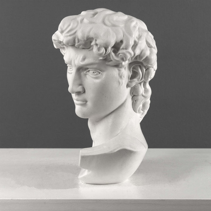 Busto de David de Miguel Ángel (Grande)