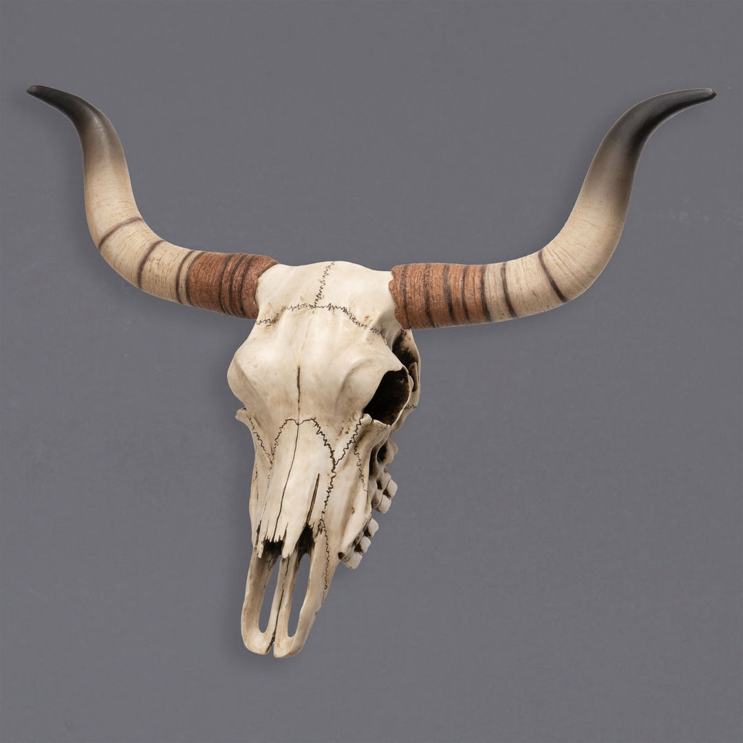 Escultura de pared de cráneo de ganado Longhorn (Estatua de resina)