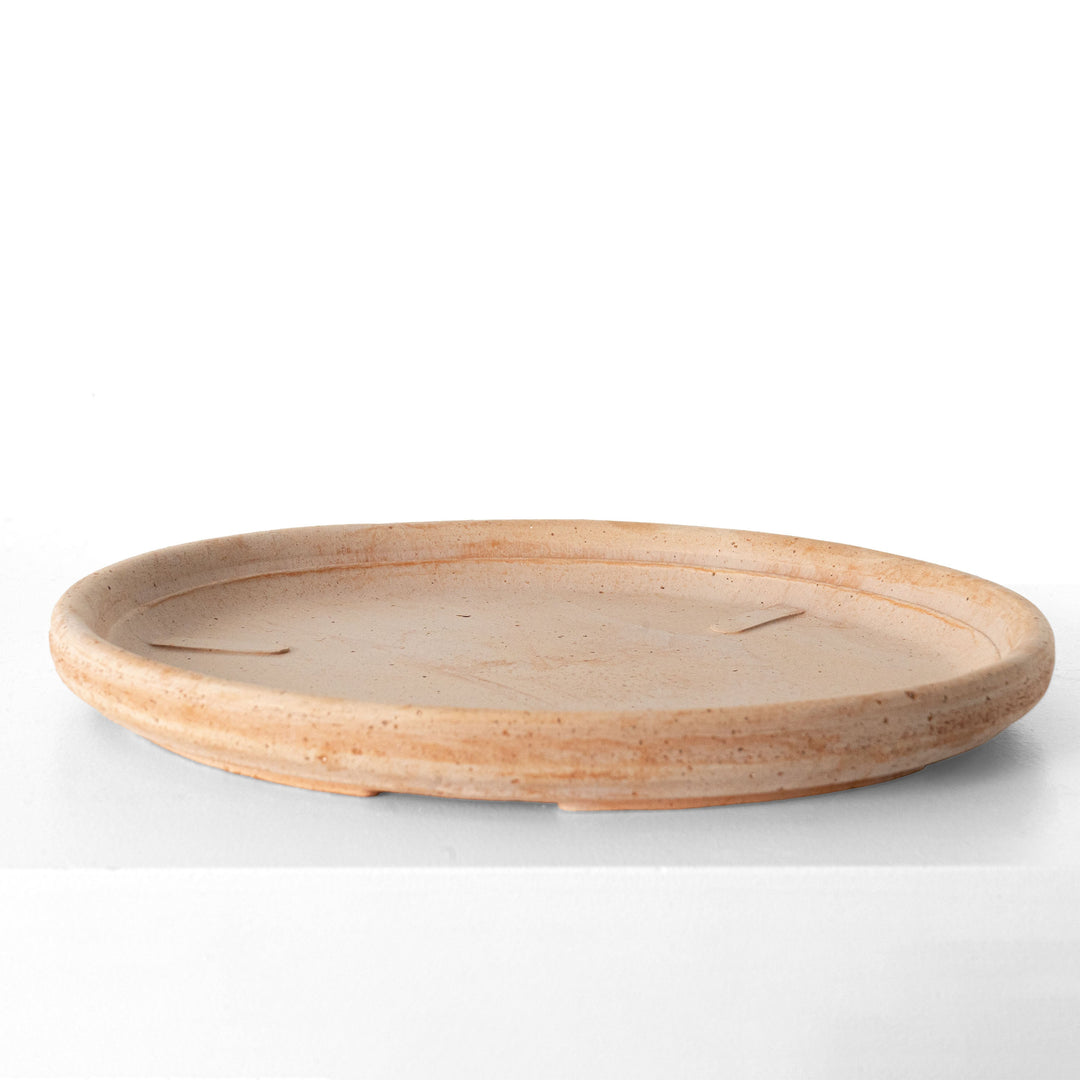 Plato para macetero de terracota con relieve de limón