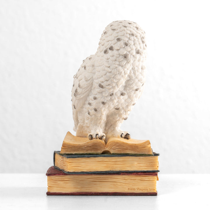 Estatua de búho nival sobre una pila de libros (Estatua de resina)