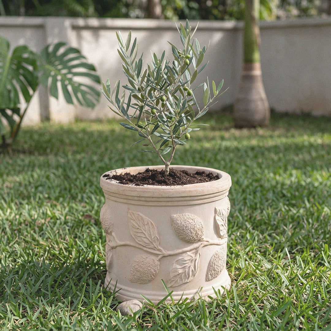 Macetero de terracota con relieve de limón (Cilíndrico)