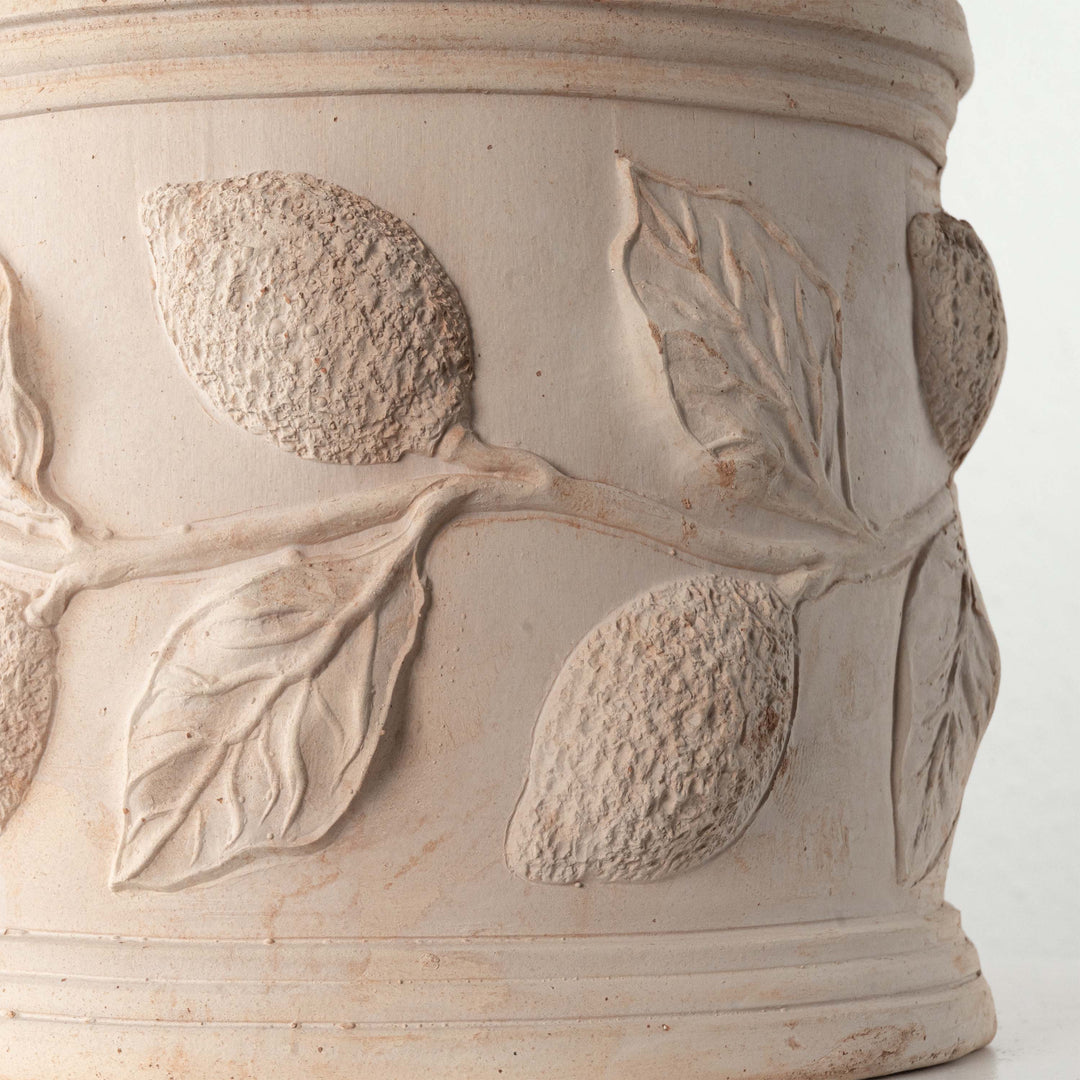Macetero de terracota con relieve de limón (Cilíndrico)