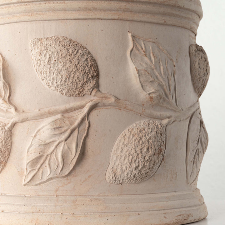 Macetero de terracota con relieve de limón (Cilíndrico)