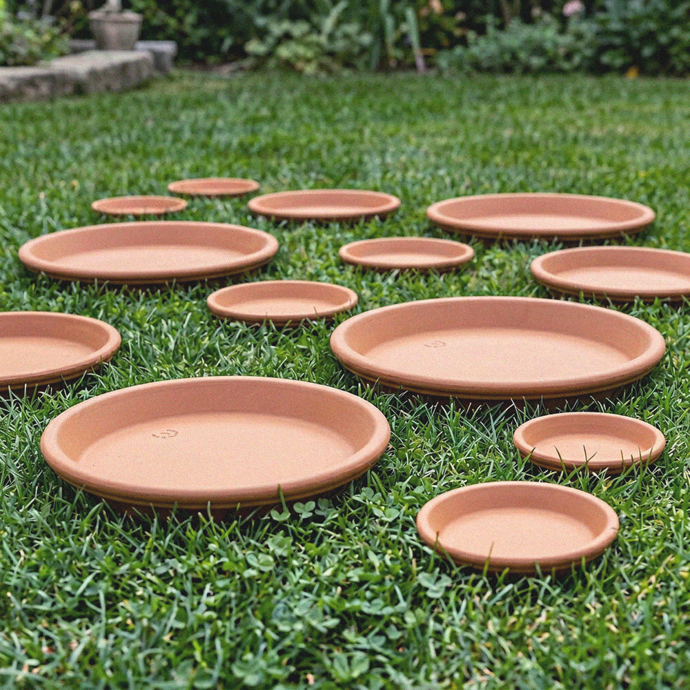 Plato redondo de terracota