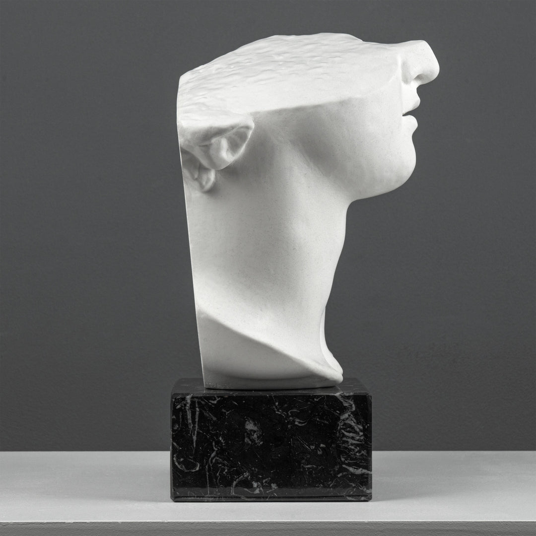 Escultura Fragmento del Busto de Apolo sobre Base de Mármol Negro (Cabeza Colosal de un Joven)
