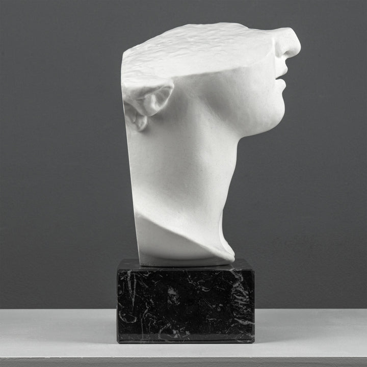 Escultura Fragmento del Busto de Apolo sobre Base de Mármol Negro (Cabeza Colosal de un Joven)