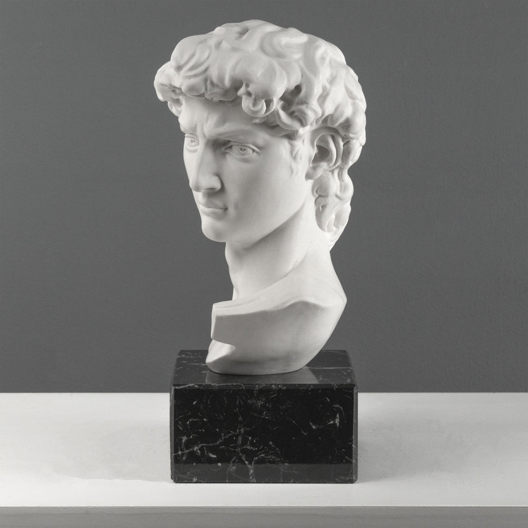 Busto de David de Miguel Ángel con base de mármol negro (Grande)