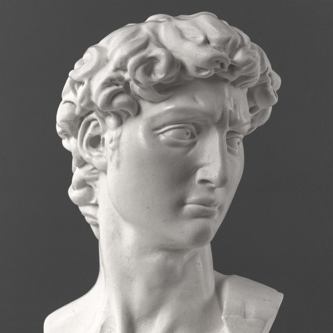 Busto de David de Miguel Ángel (Grande)