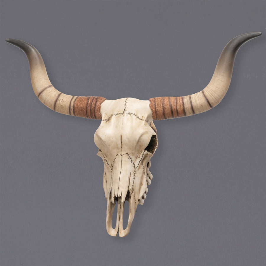 Escultura de pared de cráneo de ganado Longhorn (Estatua de resina)