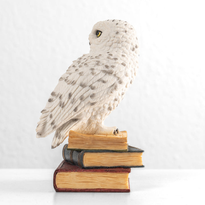 Estatua de búho nival sobre una pila de libros (Estatua de resina)
