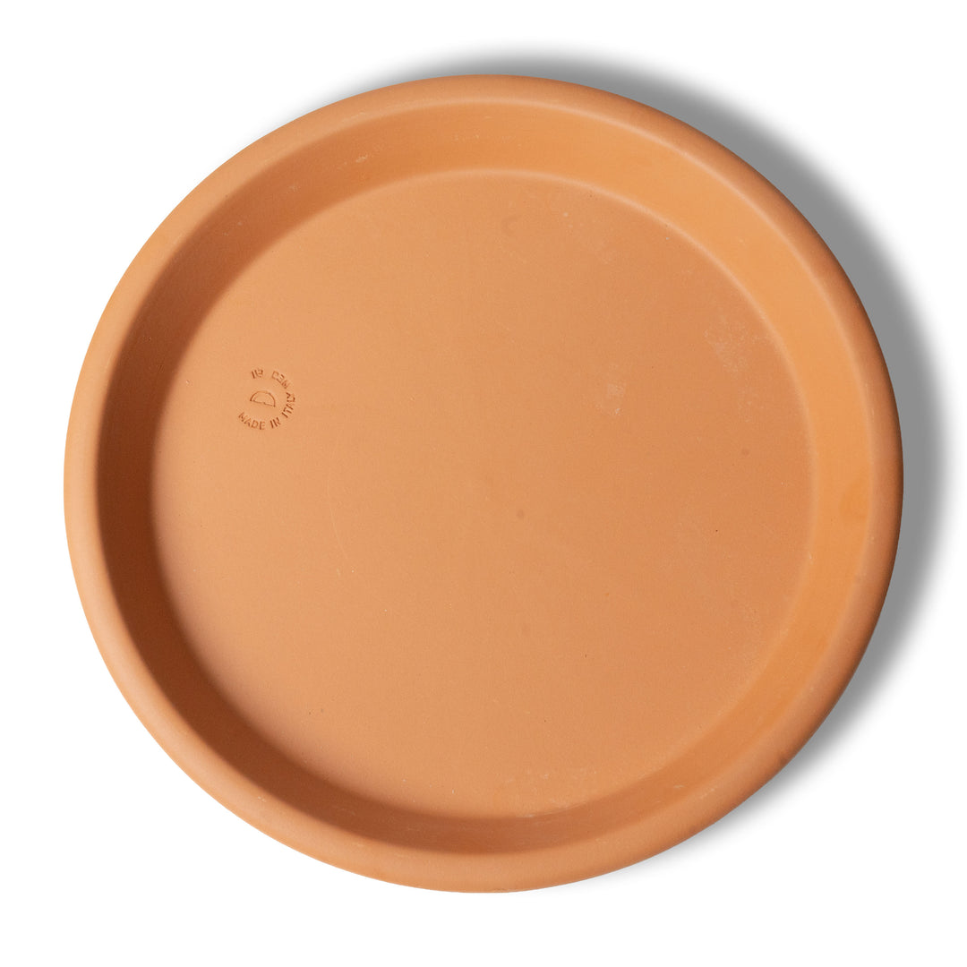 Plato redondo de terracota