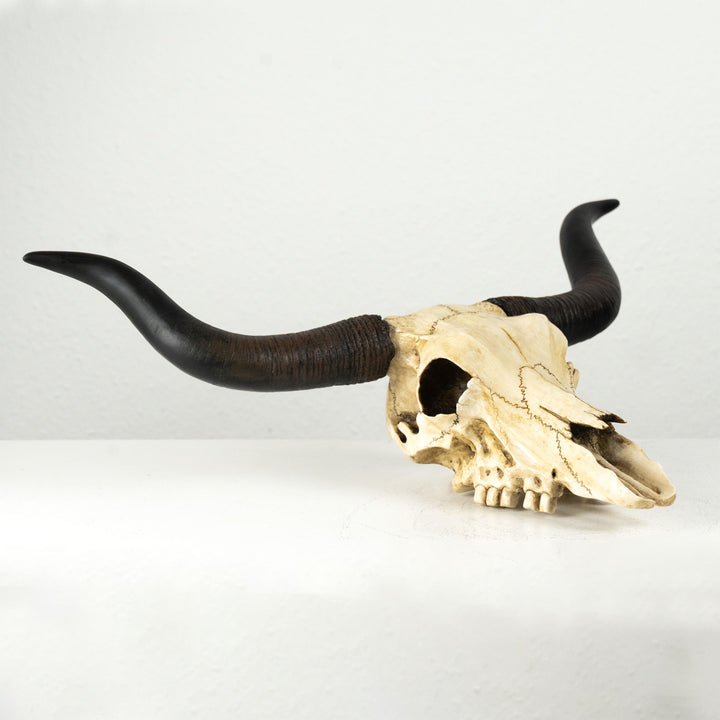 Craneo toro longhorn escultura pared (Estatua resina)