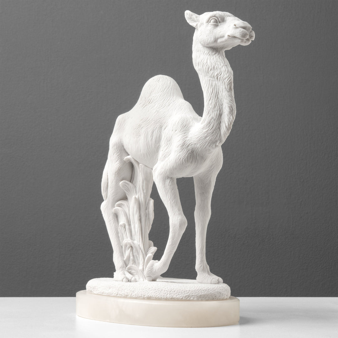 Estatua de Camello Árabe
