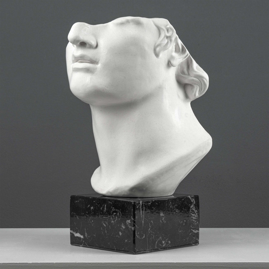 Escultura Fragmento del Busto de Apolo sobre Base de Mármol Negro (Cabeza Colosal de un Joven)