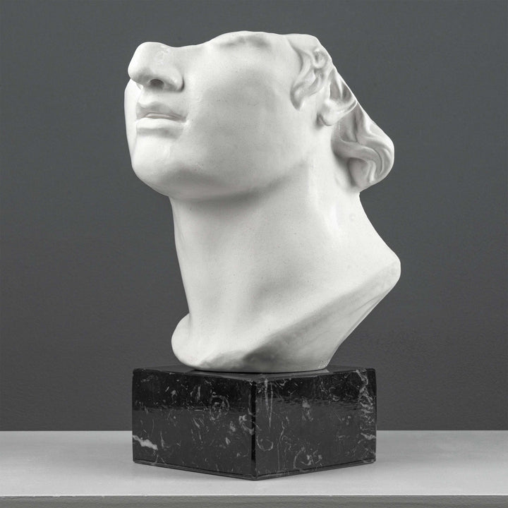 Escultura Fragmento del Busto de Apolo sobre Base de Mármol Negro (Cabeza Colosal de un Joven)