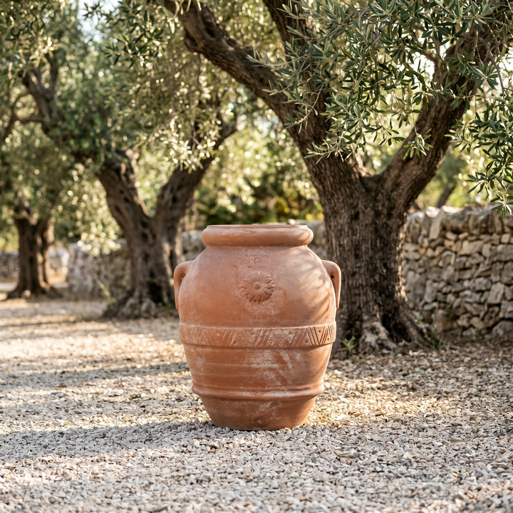Jarra toscana clásica de terracota con asas