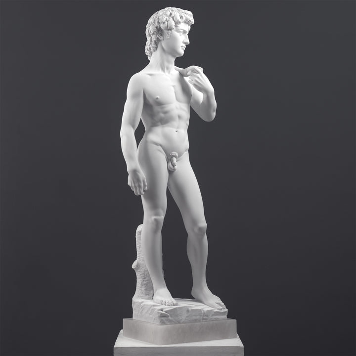 Estatua de David según Miguel Ángel (Grande)