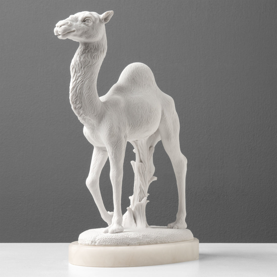 Estatua de Camello Árabe