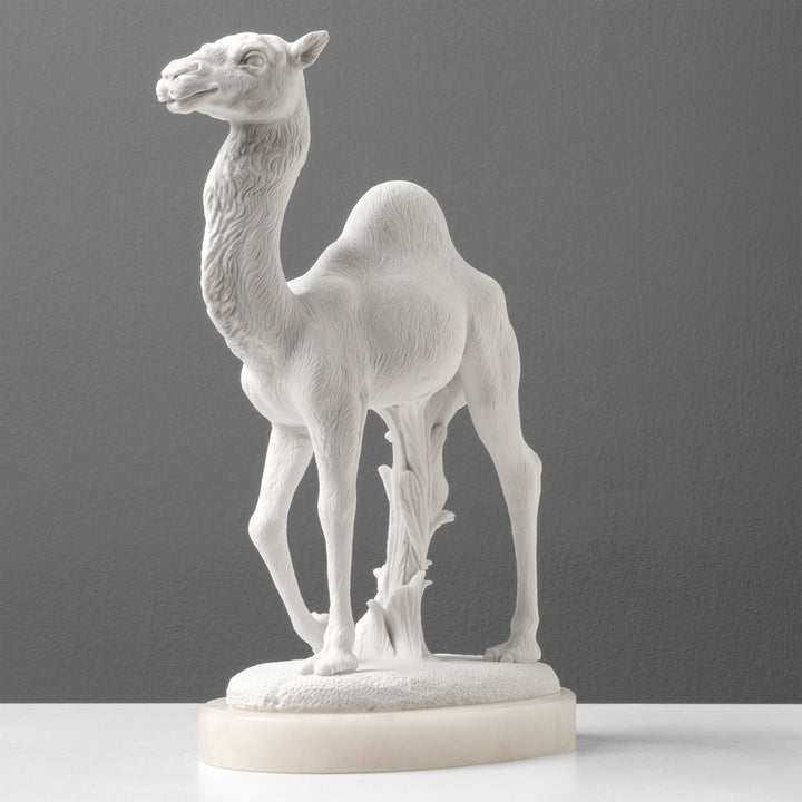 Estatua de Camello Árabe